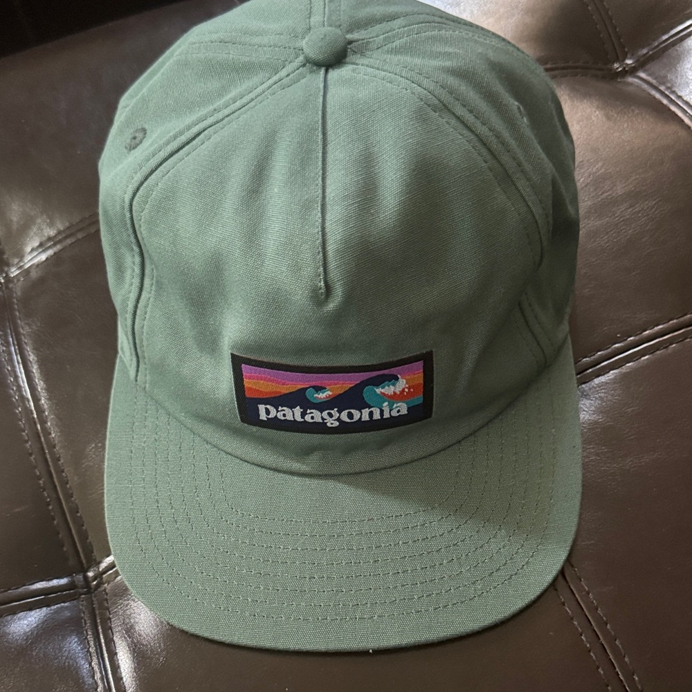 Patagonia Green Hat
